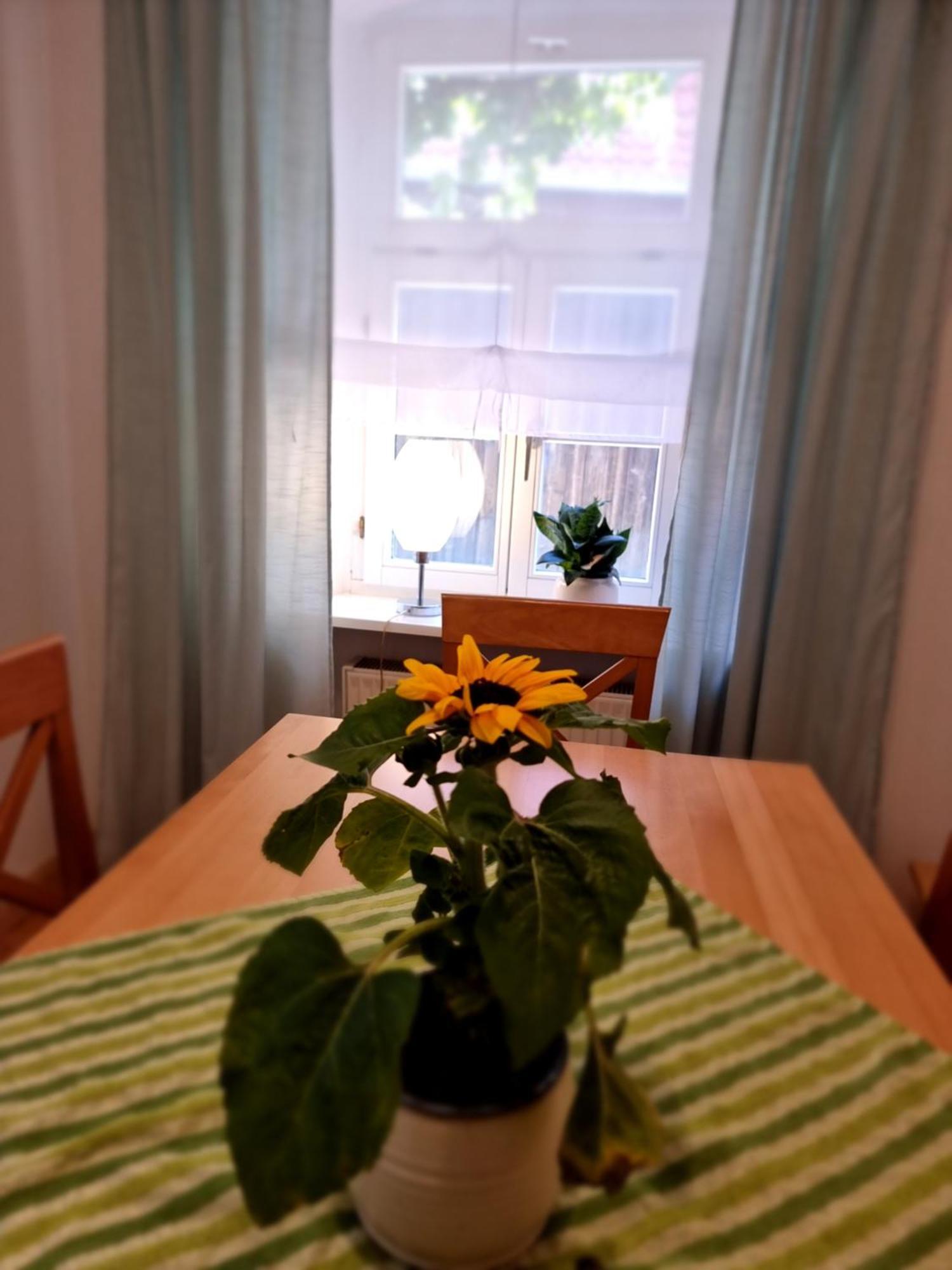 Segnitz Ferienwohnung Boehm חדר תמונה